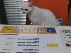 -伟伟宠物医院·CT影像中心·瑞派犬猫综合性门诊(汉口总院)