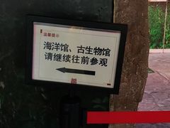 -广东省博物馆