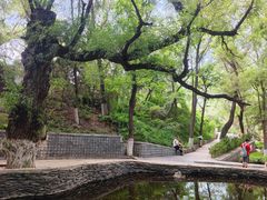 -五泉山公园