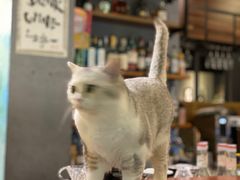 -咖法森林·咖啡  酒吧(天河店)