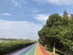 -贡湖湾湿地公园