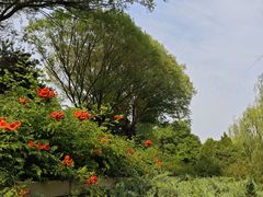 -元大都城垣遗址公园