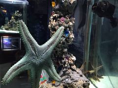 -太平洋海底世界