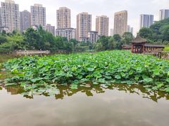 -龙头寺公园