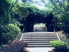 -九龙潭景区