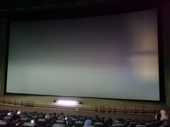 -天幕新彩云国际影城(激光巨幕店)