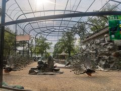 -南翠屏公园