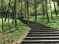 -青城山