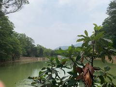 -韶山毛泽东同志故居