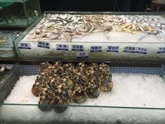 环境-新海利海鲜城·41年珠海老字号(夏湾店)
