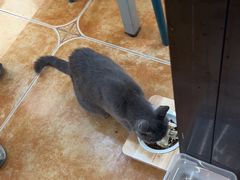 -莱姆星桌游·拼豆·团建