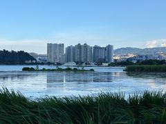 -洱海月湿地公园