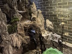 -富侨养生(光大会展店)