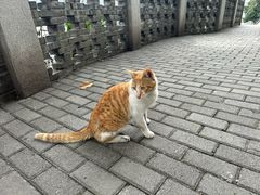 -新都巷步道