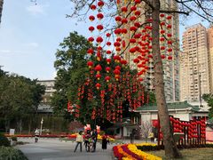 -晓港公园