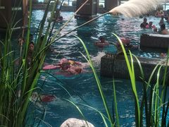 -青水瓦台汤泉(未央店)