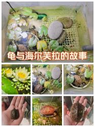 -钓虾工场·钓虾·赶海(回龙观店)