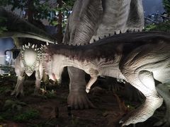 -湖南省地质博物馆