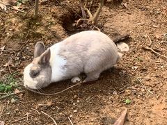 -森波拉奇妙世界