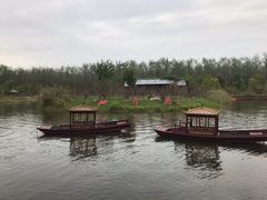 -合肥滨湖国家森林公园