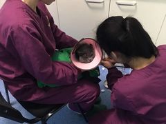 -顺强宠物诊所·狂犬免疫·夜诊·骨科(嘉定店)