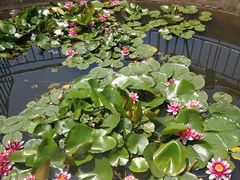 -南京市无想山景区