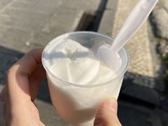 -洪馨椰子
