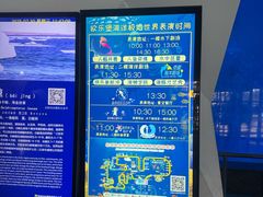 -泉城欧乐堡海洋极地世界