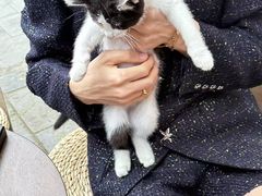 -哈尔滨北方森林动物园