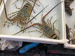 -拉威海鲜市场