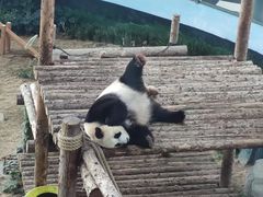 -大连森林动物园