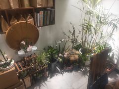 -枞馫单丛茶·茶室·茶馆(风林绿洲店)