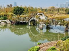 -三垟湿地