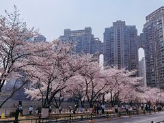 -西北湖绿化广场