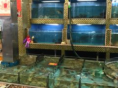 水产区-湛江渔港·大排档(乐园路总店)