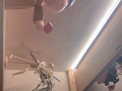 -满格嗦新疆椒麻鸡火锅.炒米粉(川大江安校区店)