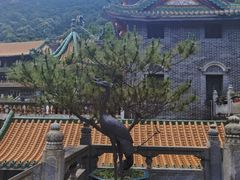 -南海湾森林生态园