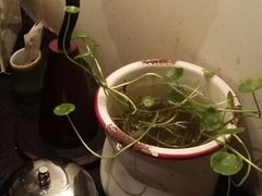 android_upload_pic-花迹(富春江东街店)