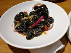 芥香木耳-必点海鲜·鲅鱼水饺(鞍山西道店)