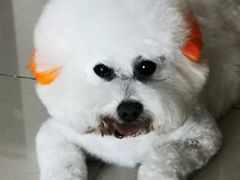 -乐琪宠物(青塔西路店)