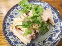 -九斤黄三黄鸡专卖店