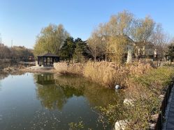 -芙蓉花月子会所(朝阳区店)