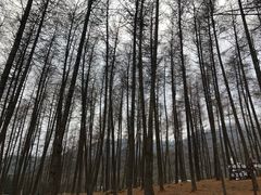 -硗碛藏寨·神木垒景区