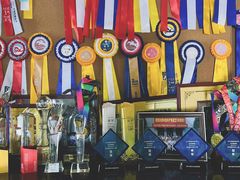 -重庆和泰马术俱乐部