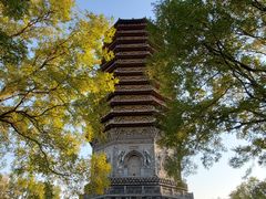 -玲珑塔公园