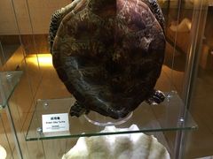 -香港科学馆