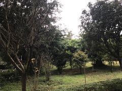 -重庆平顶山公园