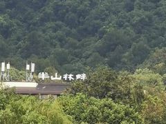 -杭州半山国家森林公园