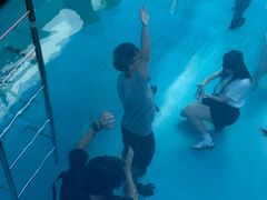 -金泽21世纪美术馆