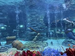 -海合安成都极地海洋公园